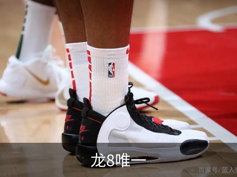 了解龙8唯一